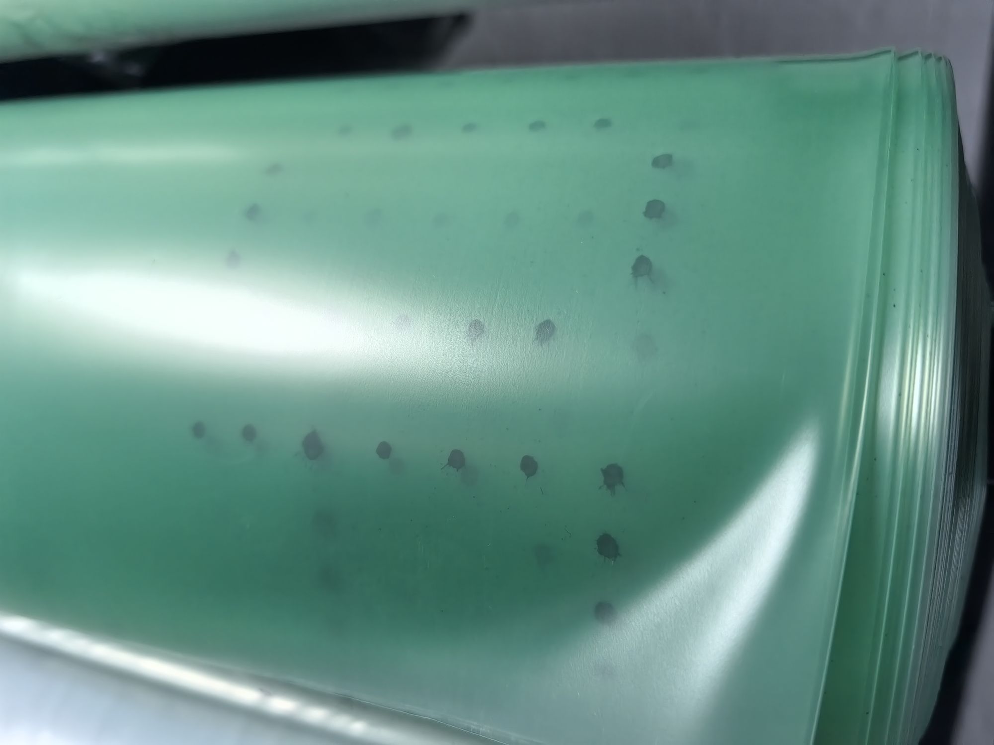 Пленка СТАБ  Десногорск3 120